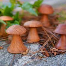 Set 3 hongos / 3 mushrooms set